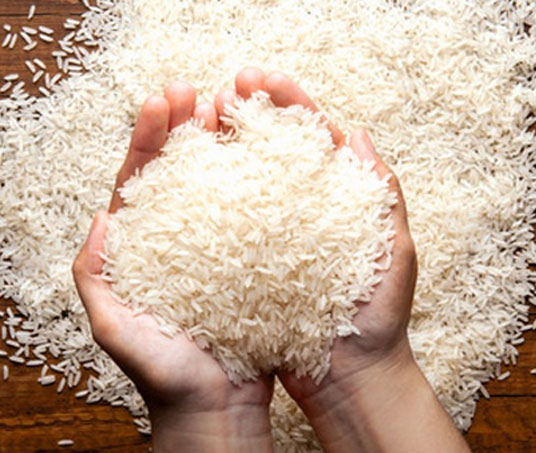 PR 106 Rice